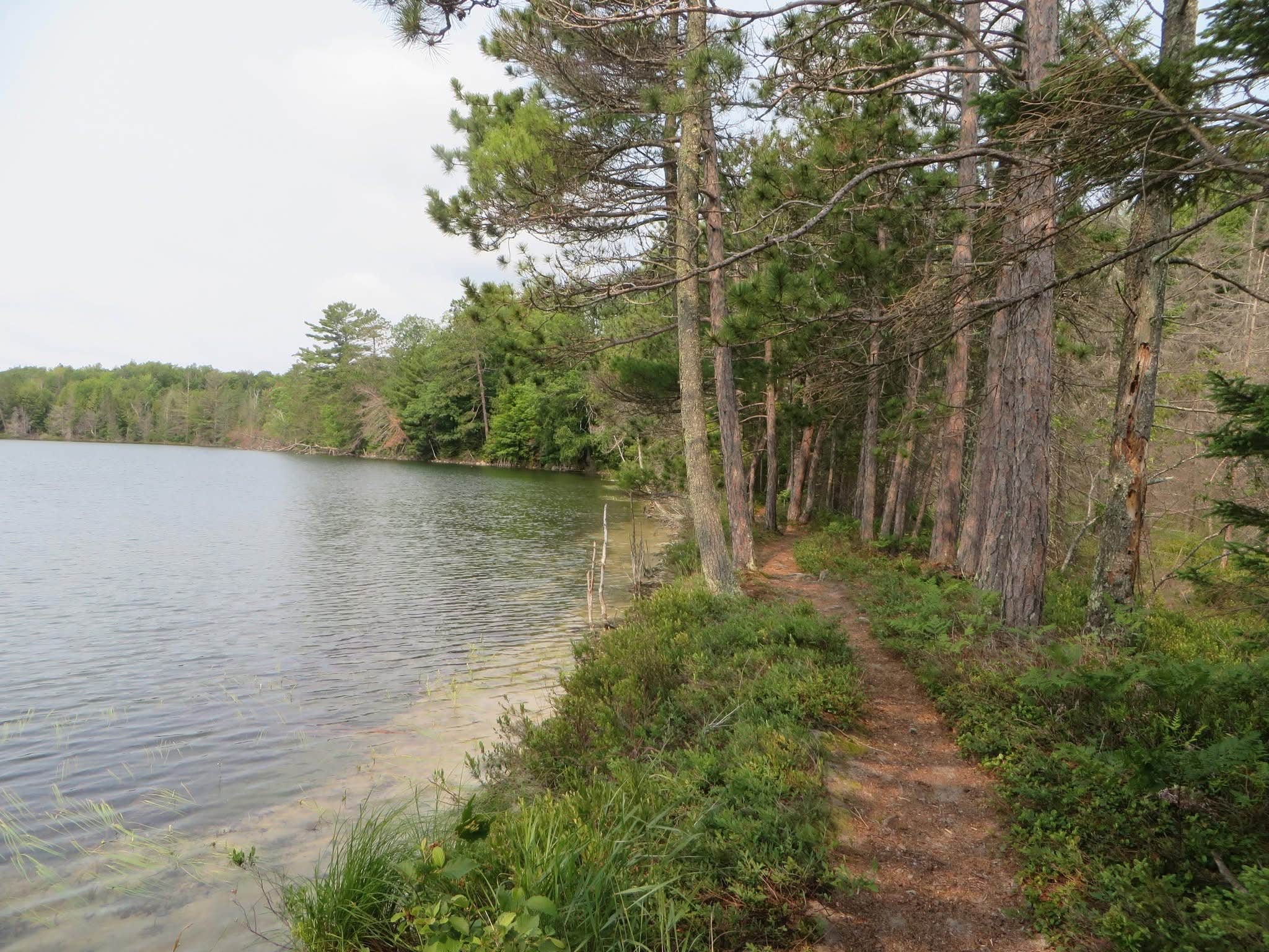Camper submitted image from Luna White Deer Campground - 5