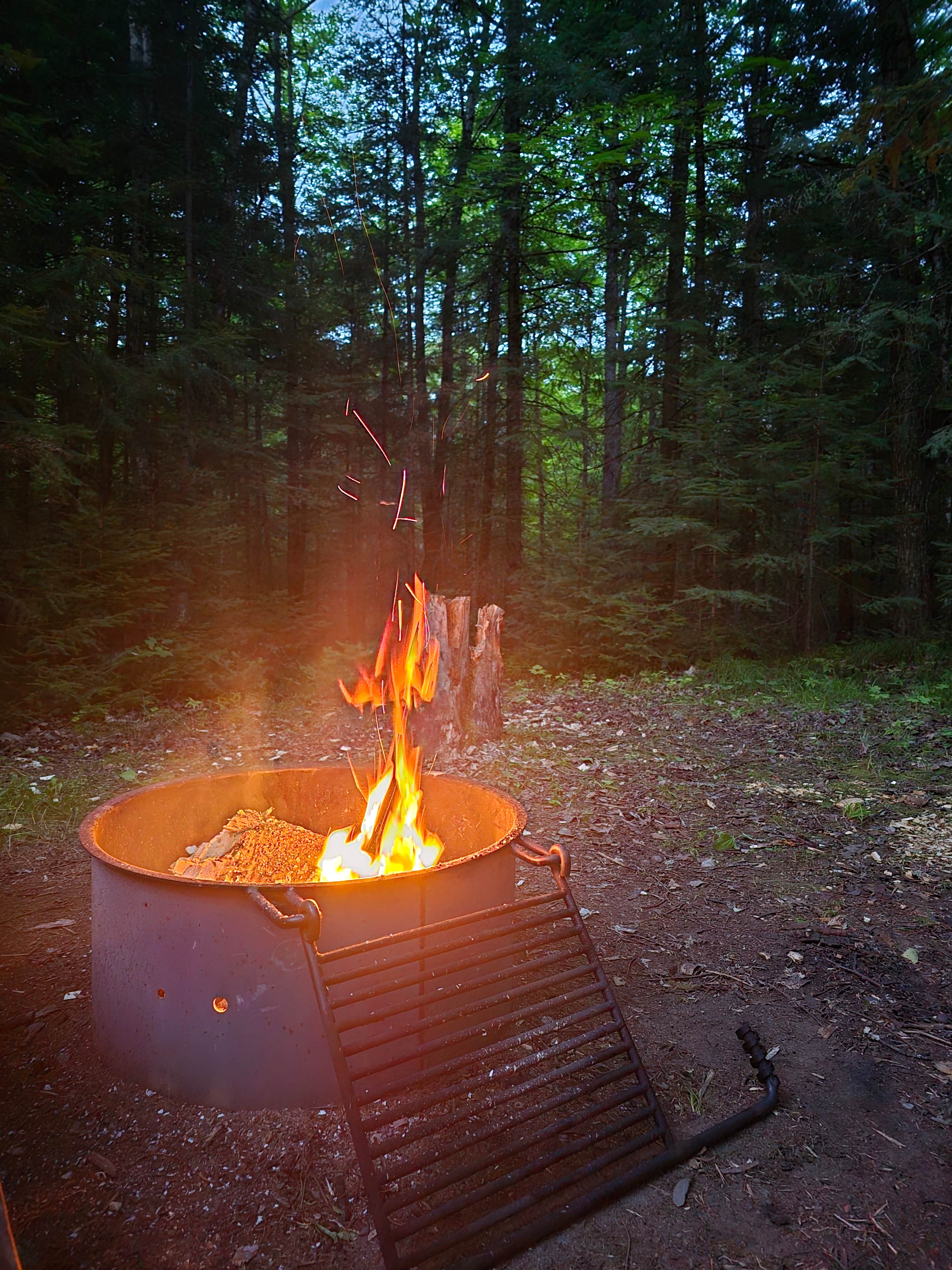 Camper submitted image from Luna White Deer Campground - 3