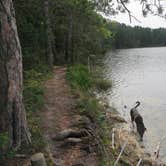 Review photo of Luna White Deer Campground by Kay K., August 24, 2025