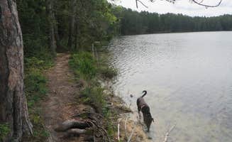 Kay K.'s photo of camping with pets at Luna White Deer Campground near Summit Lake, WI