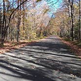 Review photo of Luna White Deer Campground by Nancy May , October 12, 2025