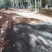 Review photo of Luna White Deer Campground by Nancy May , October 12, 2025
