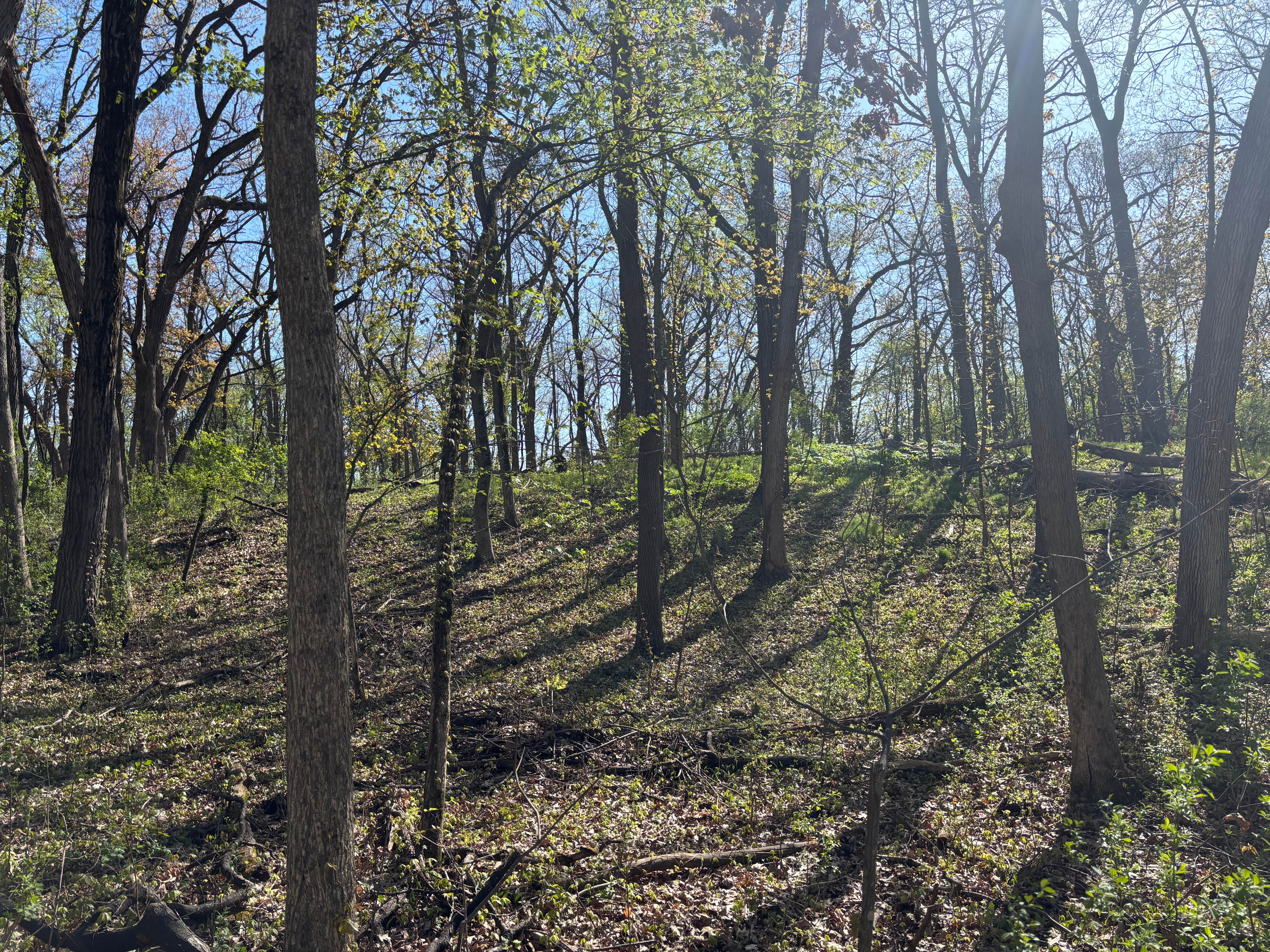Camper-submitted photo at Naga-Waukee Park by Waukesha County Parks near Wales, WI