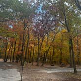 Review photo of North Bay Shore Park by Elaine W., October 15, 2024