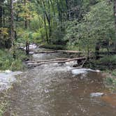 Review photo of North Wood County Park by jack F., September 24, 2026