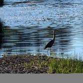 Review photo of North Wood County Park by Kelly M., June 30, 2026