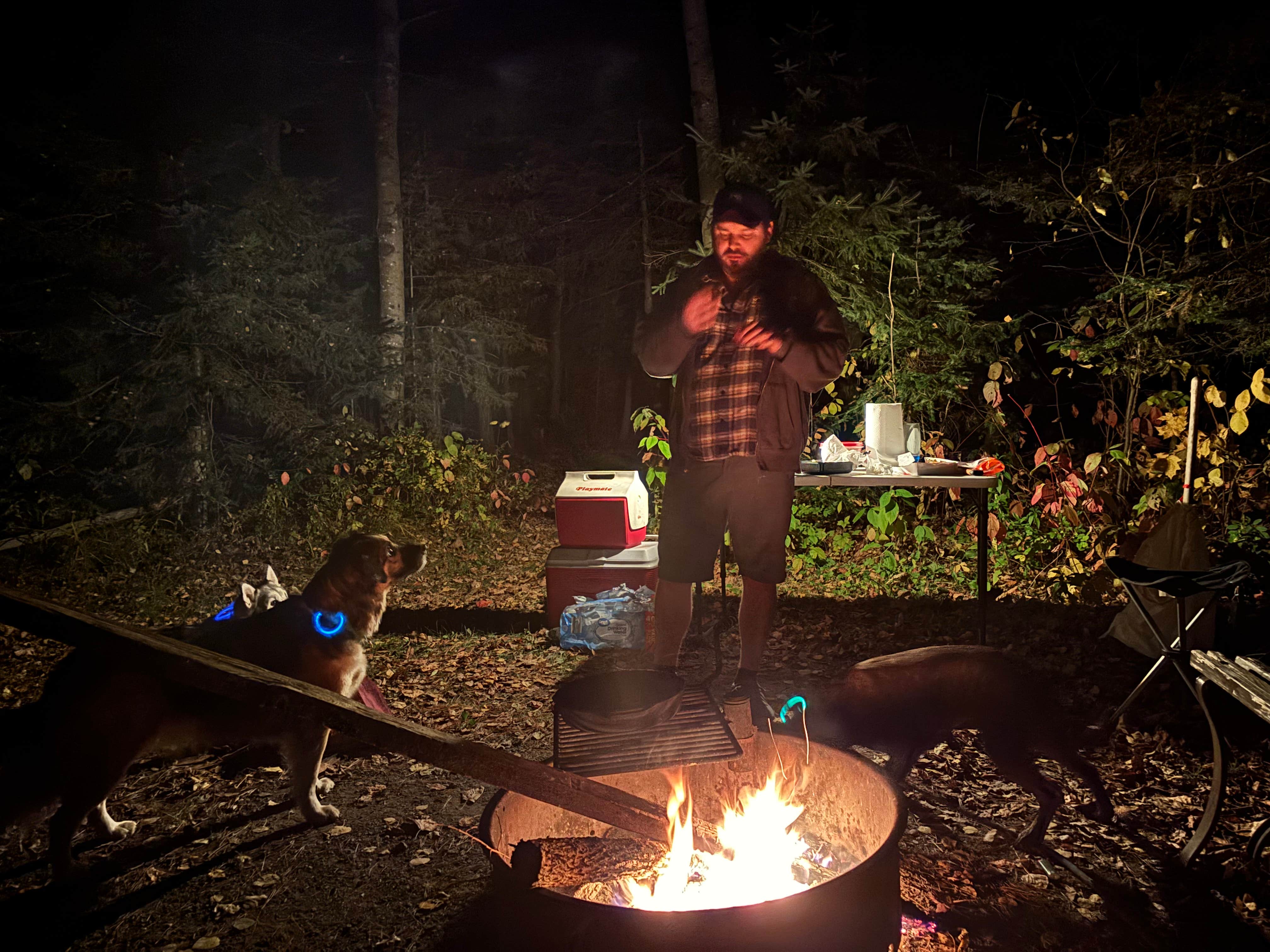 Justine I.'s photo of camping with pets at Pattison State Park Campground near Duluth, MN