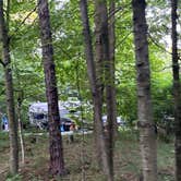 Review photo of North Nicolet Bay Campground — Peninsula State Park by James M., July 7, 2025