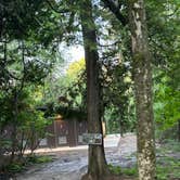 Review photo of North Nicolet Bay Campground — Peninsula State Park by James M., July 7, 2025