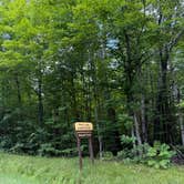 Review photo of Perch Lake Recreation Area by Hayli B., August 12, 2025