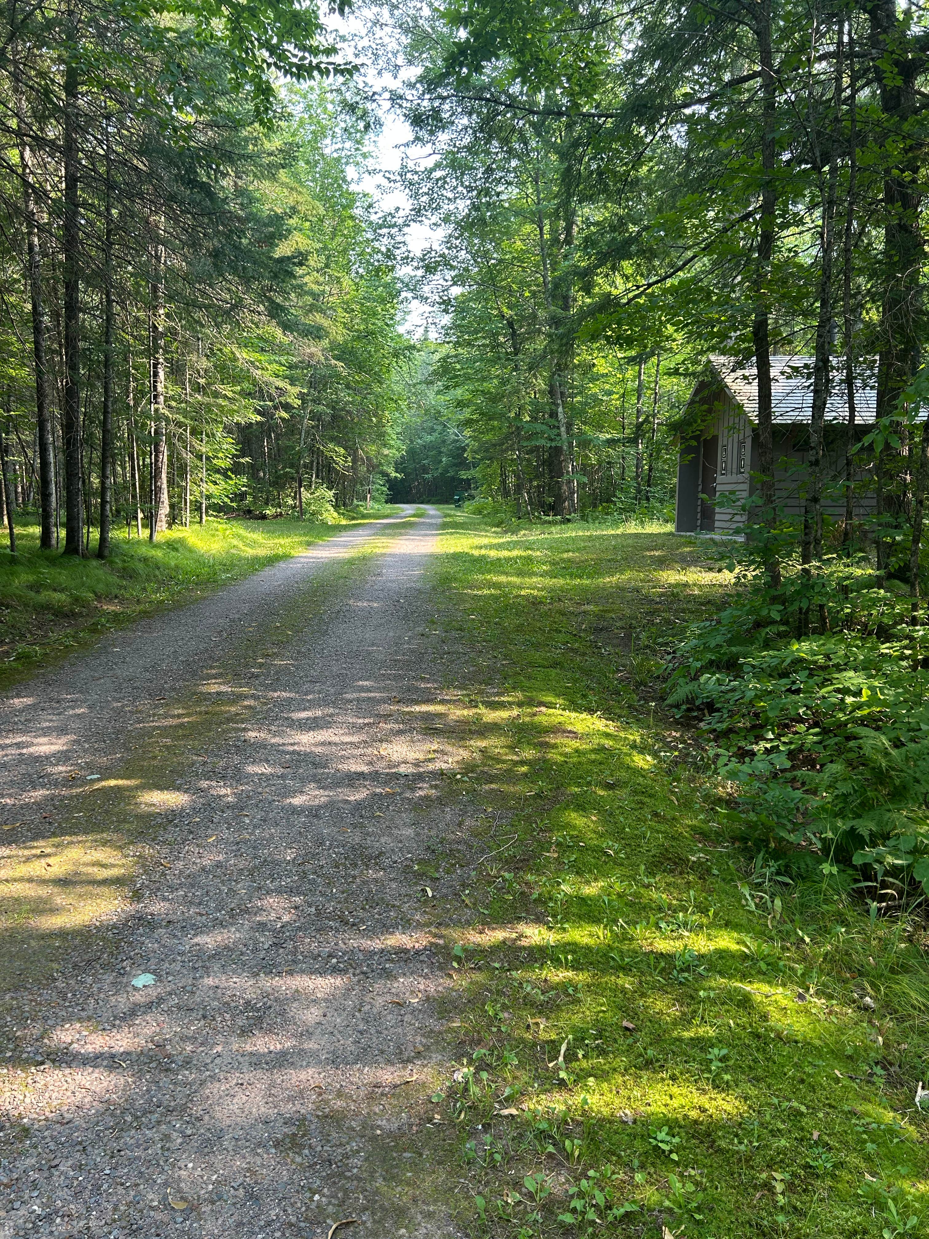 Camper submitted image from Perch Lake Recreation Area - 5