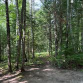 Review photo of Perch Lake Recreation Area by Hayli B., August 12, 2025
