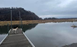 Crystal B.'s photo of camping with pets at Perrot State Park Campground near Black River Falls, WI
