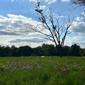 Review photo of Perrot State Park Campground by Mhari M., June 28, 2026