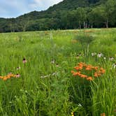 Review photo of Perrot State Park Campground by Mhari M., June 28, 2026