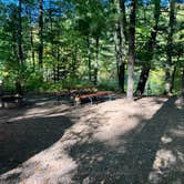 Review photo of Pine Point County Park by Al G., September 23, 2026