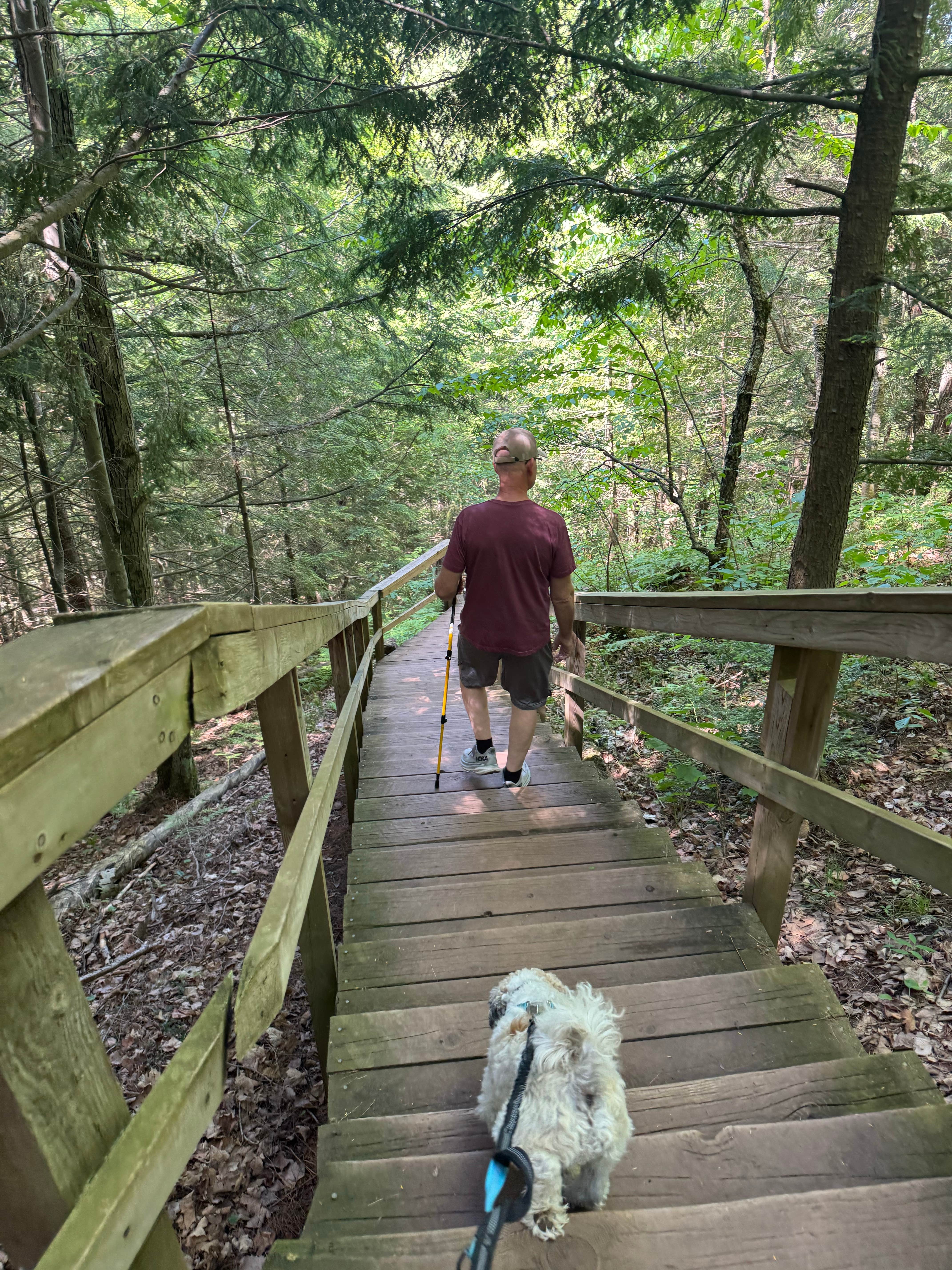 Brenda Y.'s photo of camping with pets at Potato River Falls Campground near Ironwood, MI