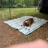 Review photo of Rocky Arbor State Park Campground by Nathan D., July 11, 2025