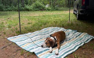 Nathan D.'s photo at Rocky Arbor State Park Campground near Wisconsin Dells, WI
