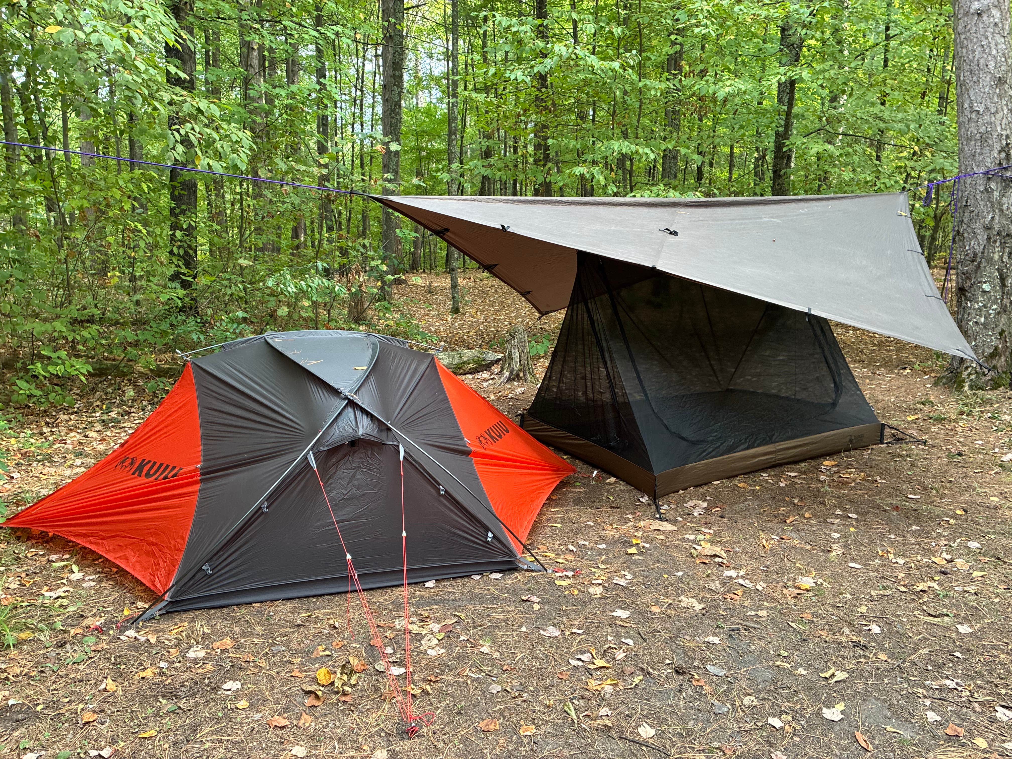 Camper-submitted photo at Sandrock Cliffs — Saint Croix National Scenic Riverway near Oak Grove, MN
