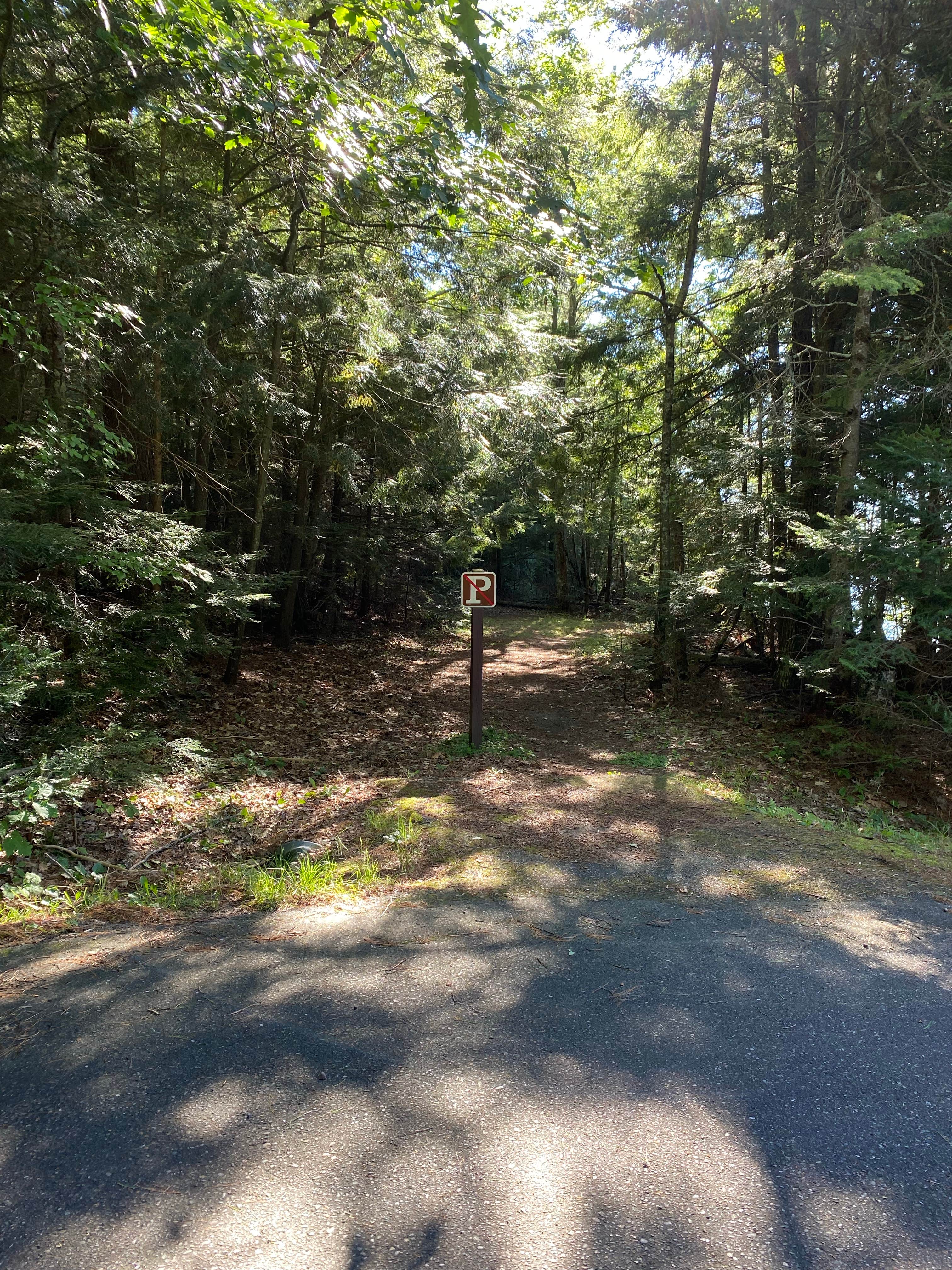 Camper-submitted photo at Sevenmile Lake near Minocqua, WI