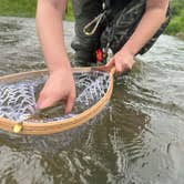 Review photo of Sidie Hollow County Ridge Campground by Noah V., May 29, 2024