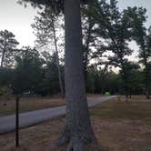 Review photo of Snyder Park by Andy M., August 24, 2026
