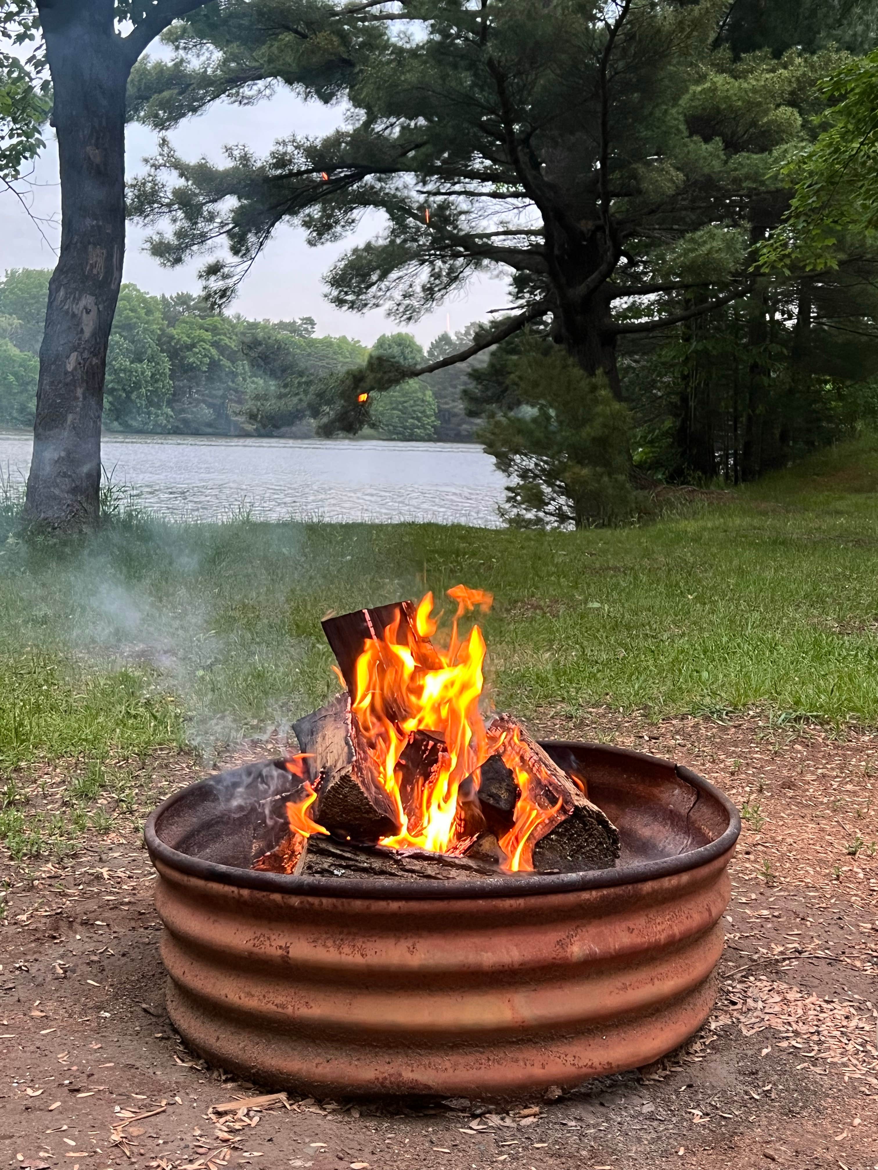 Camper submitted image from South Wood County Park - 1