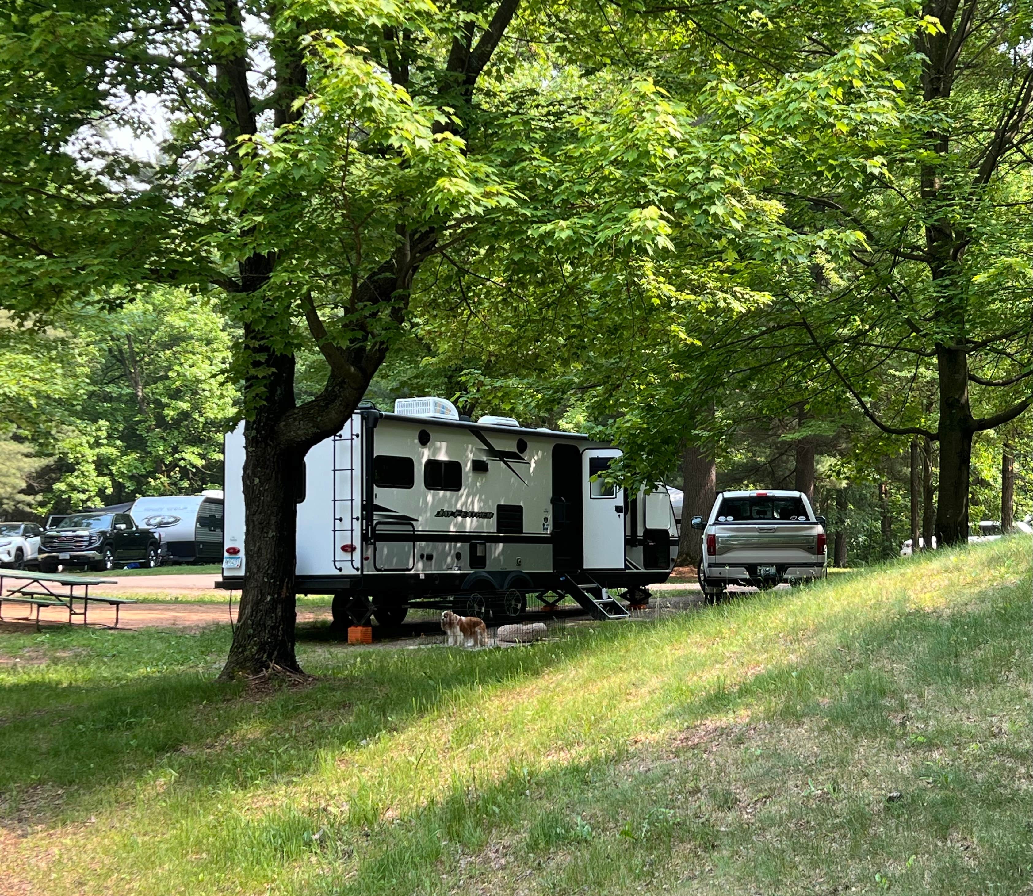 Camper submitted image from South Wood County Park - 5