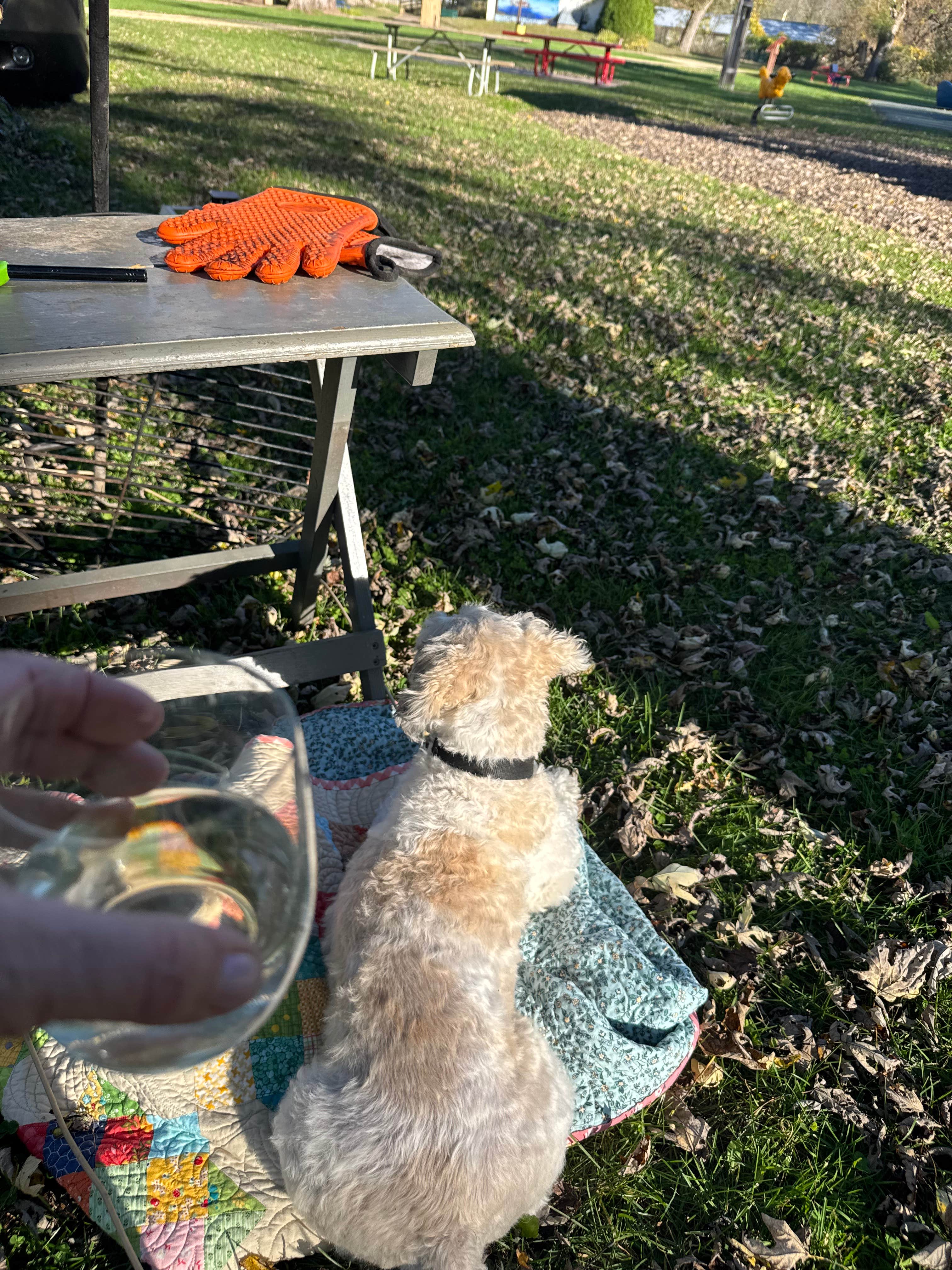 Camper-submitted photo at Sugar Creek City Campground near Prairie du Chien, WI