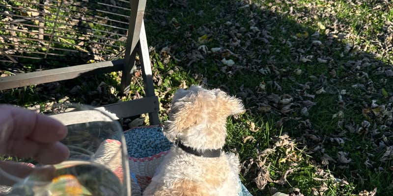 Camper submitted image from Sugar Creek City Campground