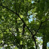 Review photo of Tower Hill State Park Campground by Kay K., August 24, 2025