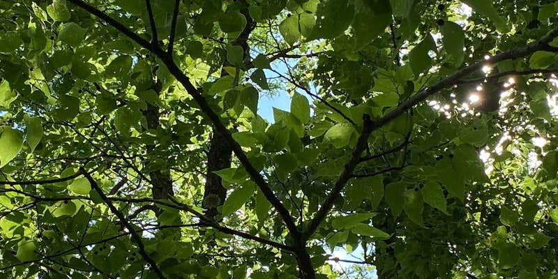 Camper submitted image from Tower Hill State Park Campground