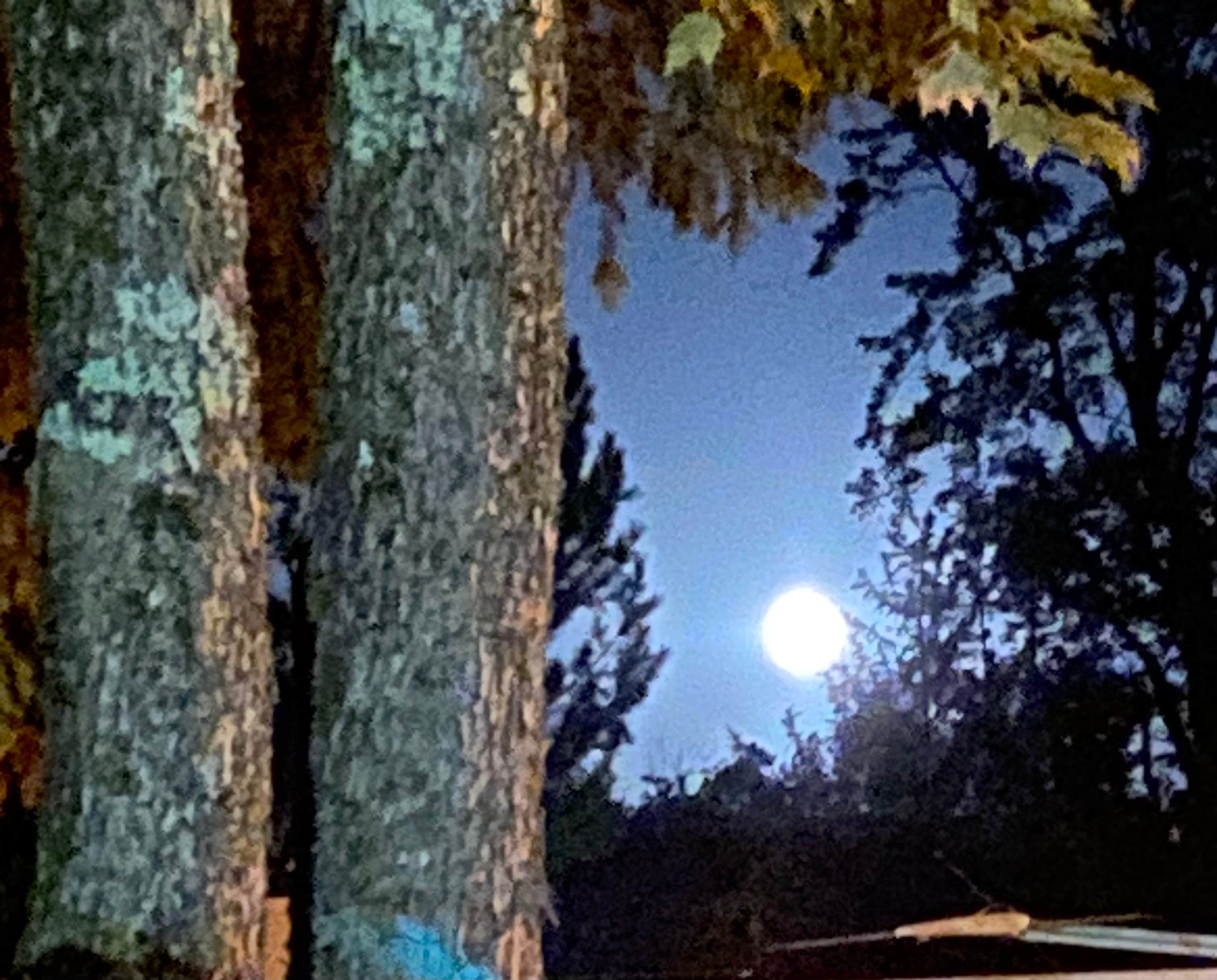 Camper-submitted photo at Upson Community Park near Upson, WI