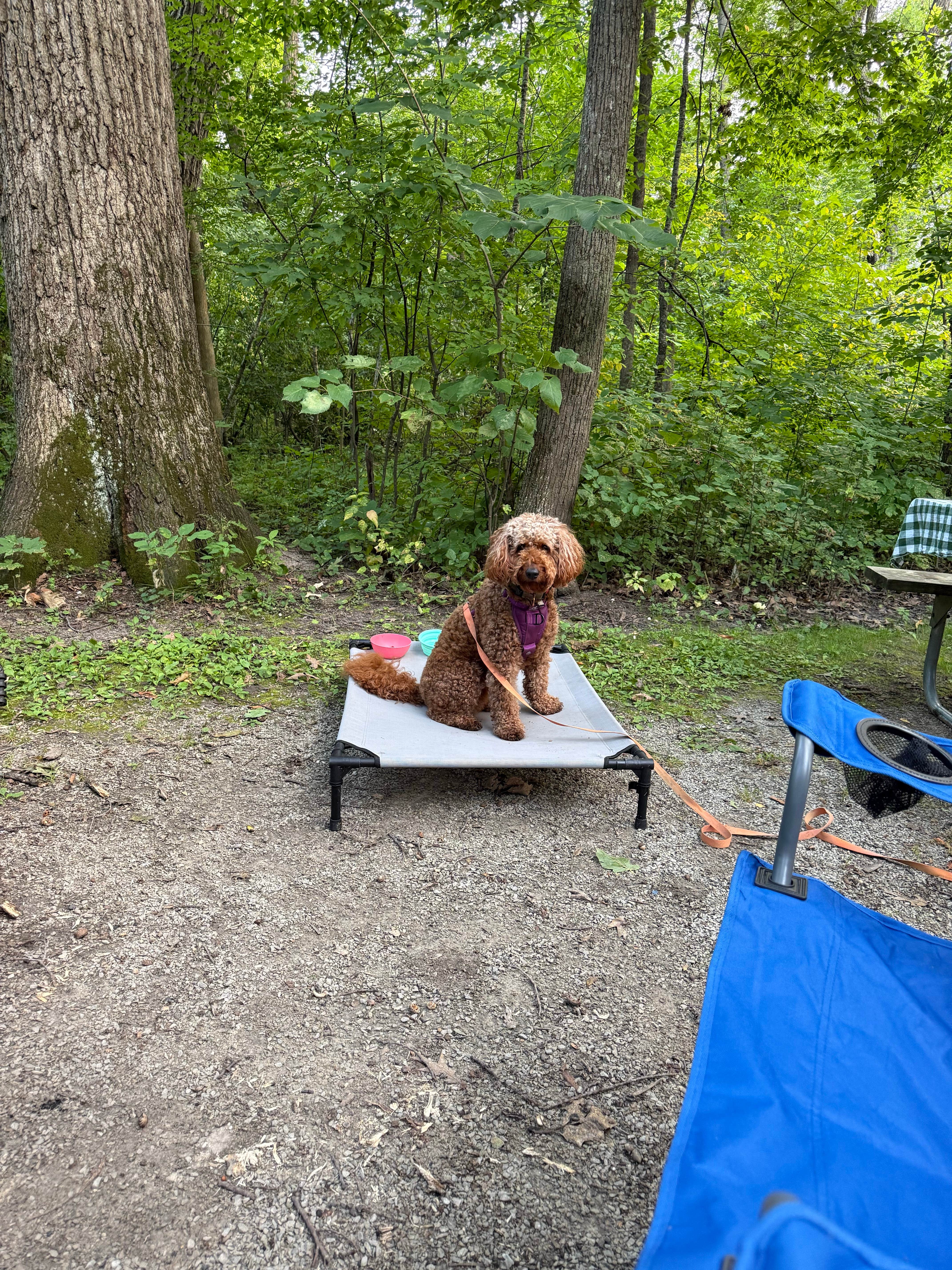 Camper-submitted photo at Waupun Park Campground near Beaver Dam, WI