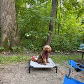 Review photo of Waupun Park Campground by alicianlv , August 30, 2025