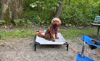 alicianlv's photo of camping with pets at Waupun Park Campground near Neenah, WI