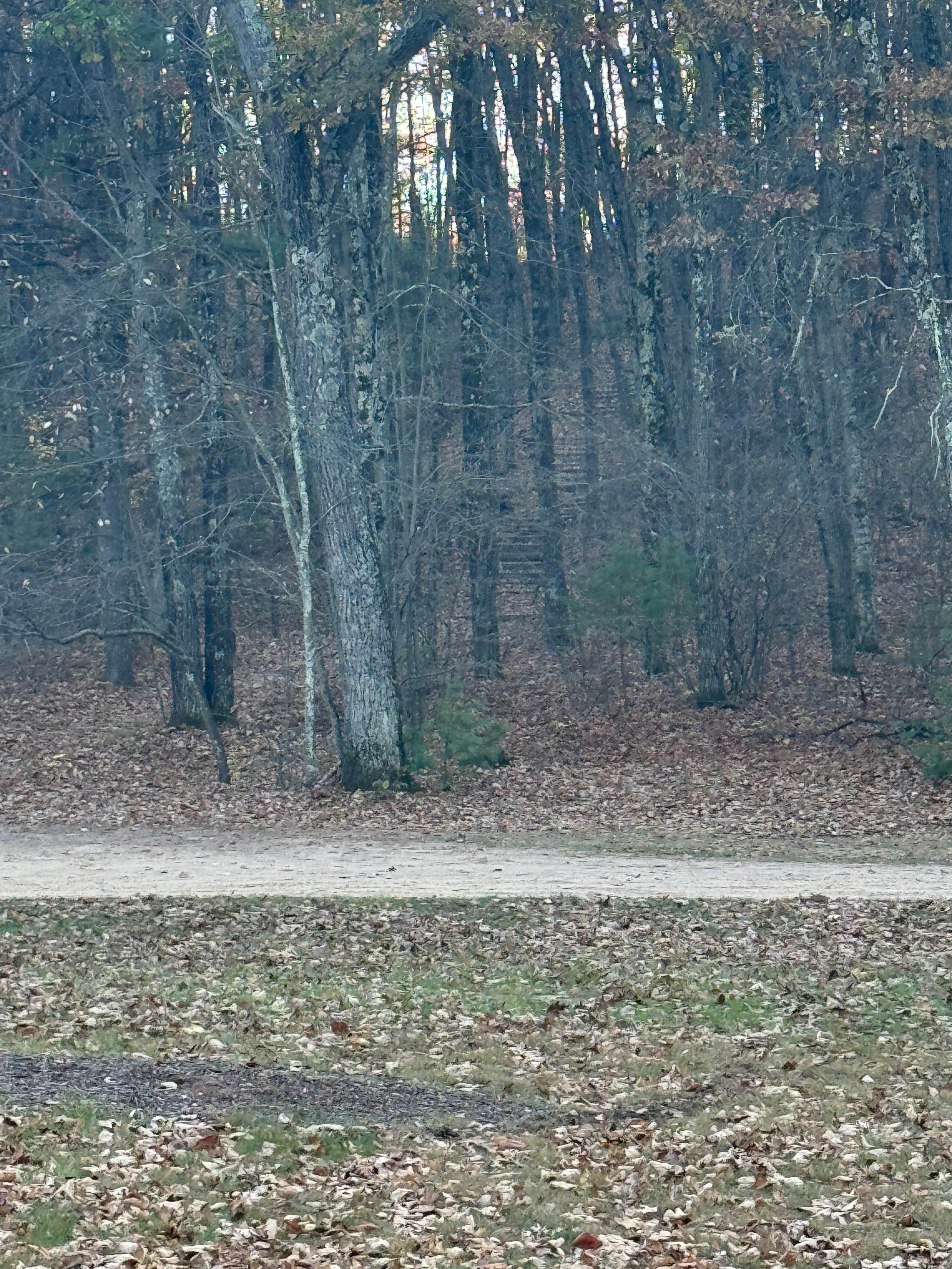 Camper-submitted photo at Wildcat Mound County Park near Neillsville, WI