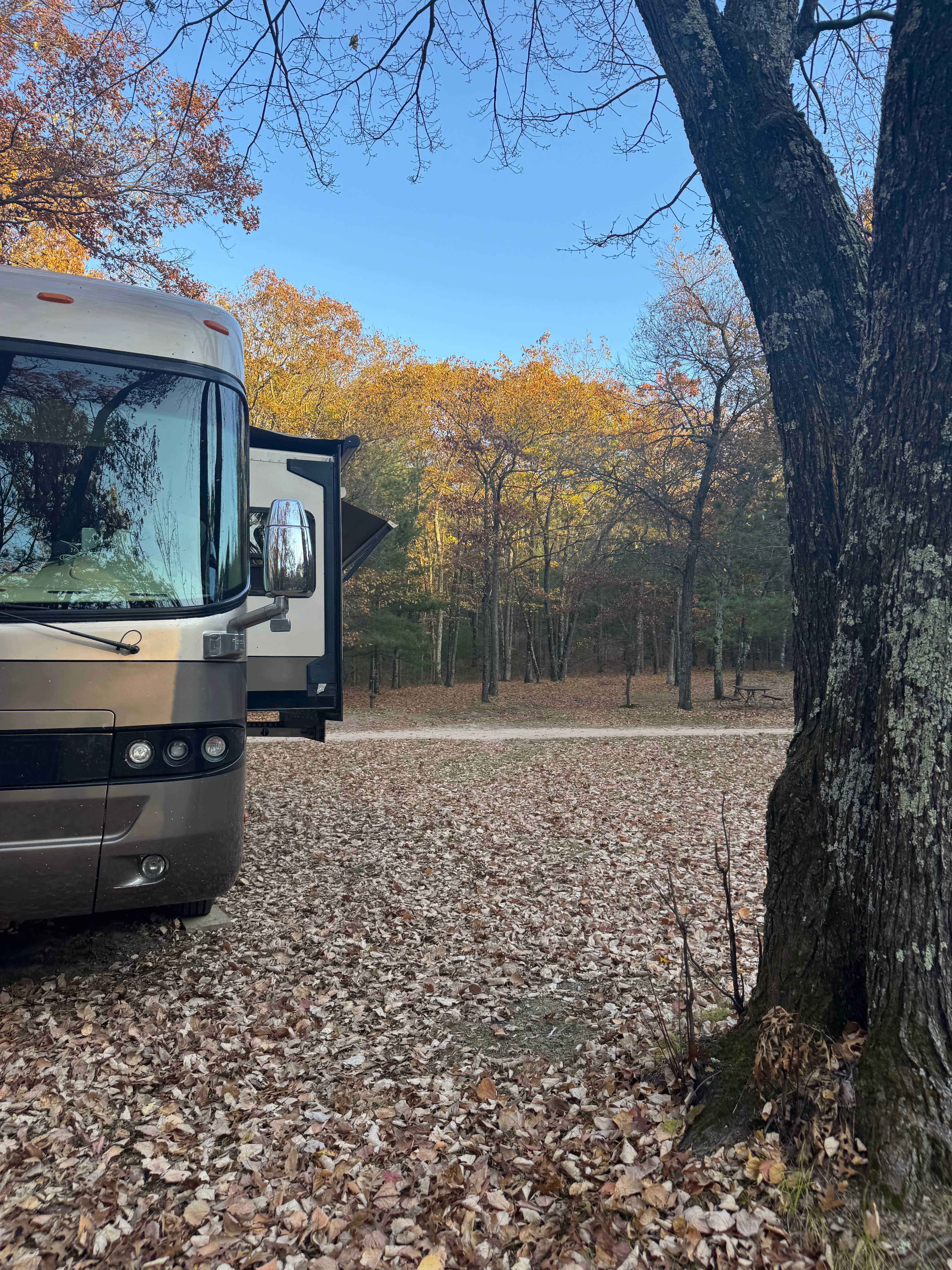 Camper-submitted photo at Wildcat Mound County Park near Neillsville, WI