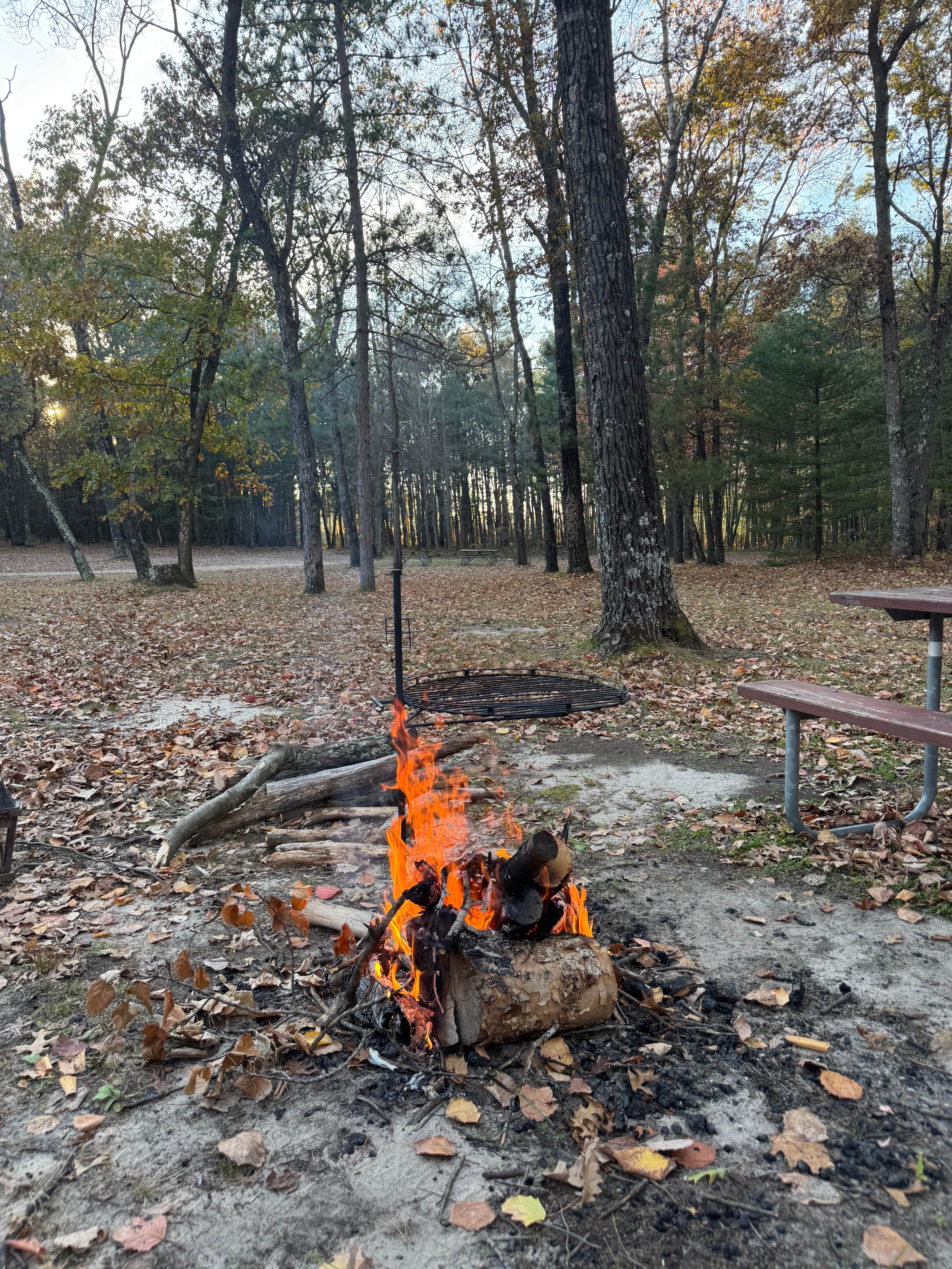 Camping near Russell Memorial Park: Wildcat Mound County Park, Humbird, Wisconsin