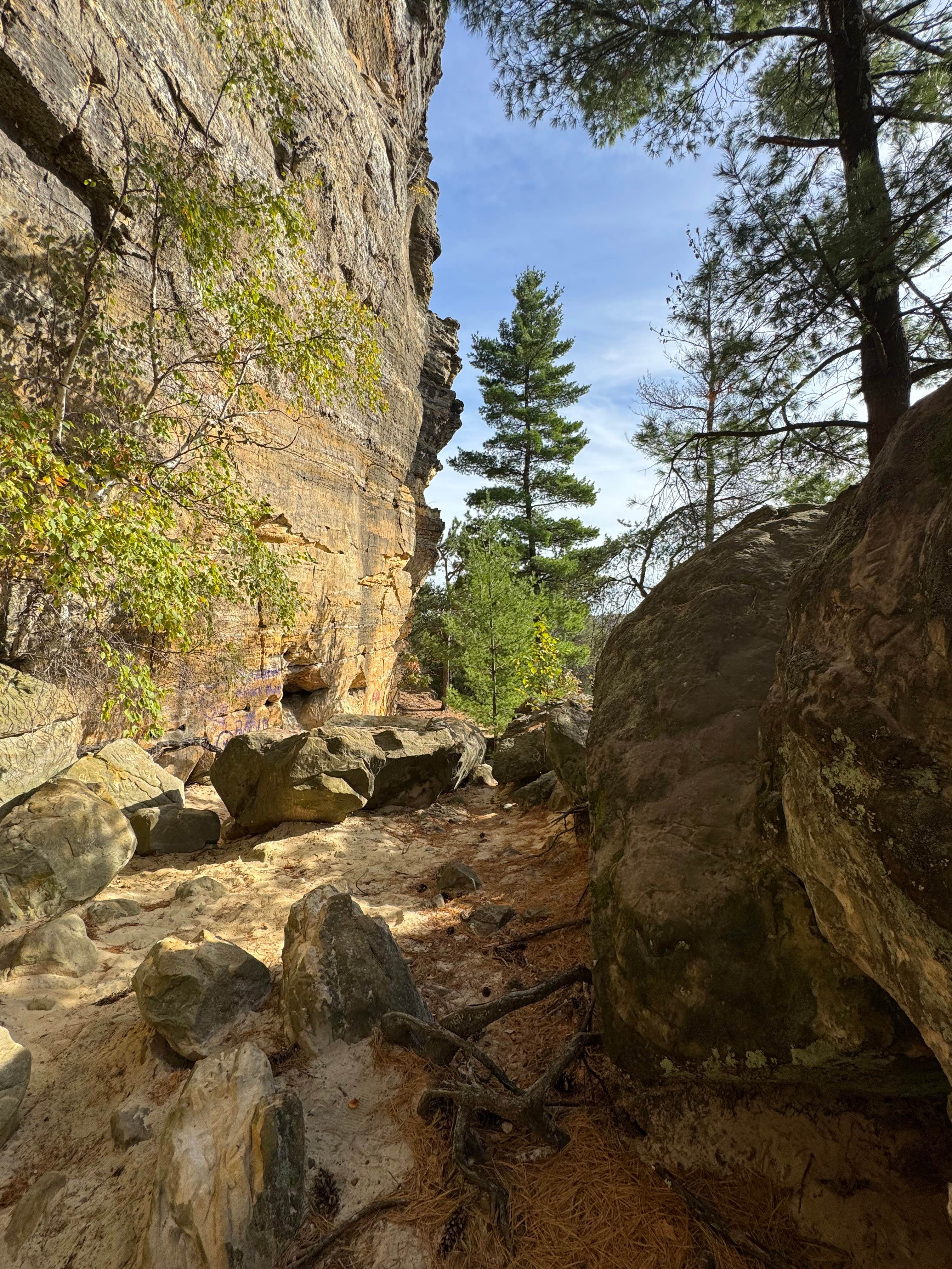 Camper-submitted photo at Wildcat Mound County Park near Neillsville, WI