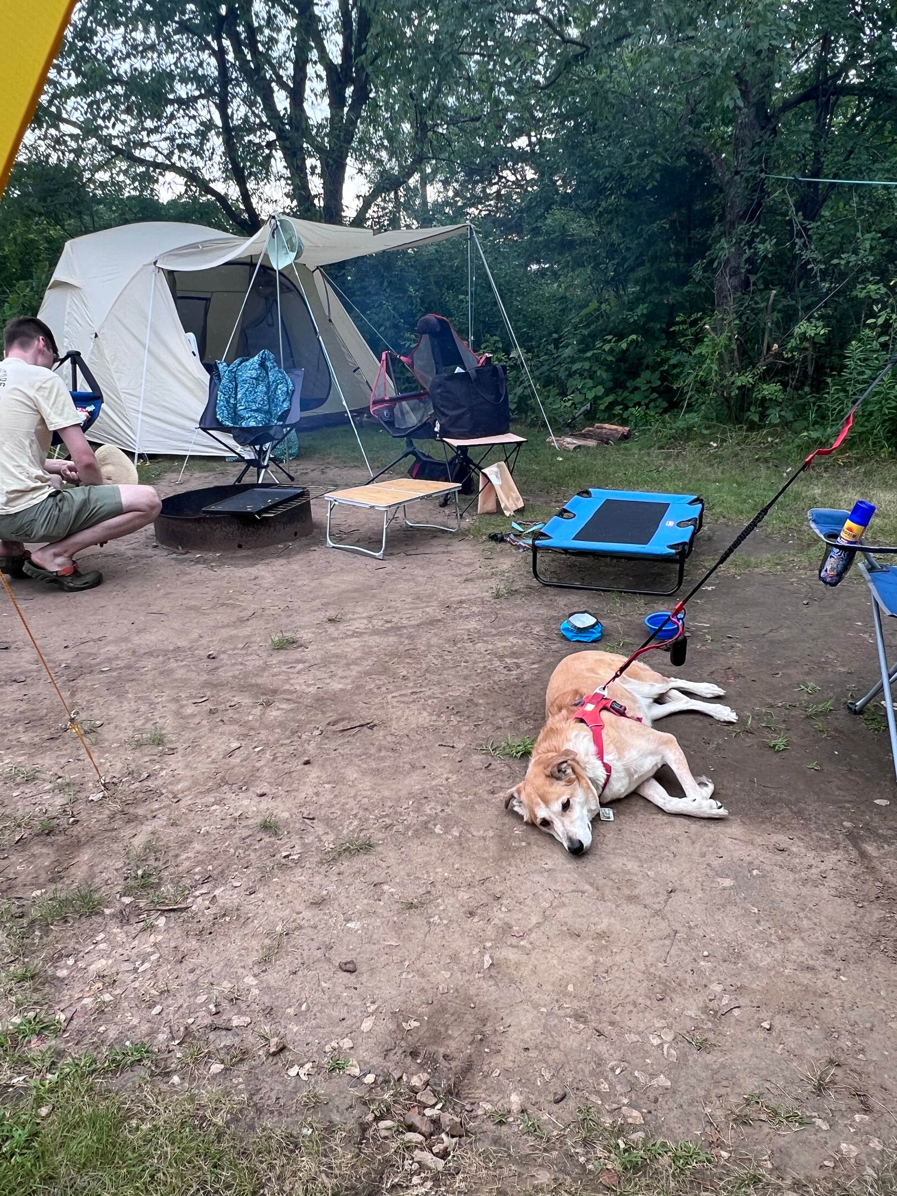 Maria D.'s photo of camping with pets at Willow River State Park Campground near Roberts, WI