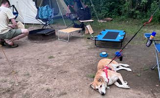 Maria D.'s photo of camping with pets at Willow River State Park Campground near Roberts, WI