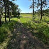 Review photo of Willow River State Park Campground by Molly M., August 4, 2024