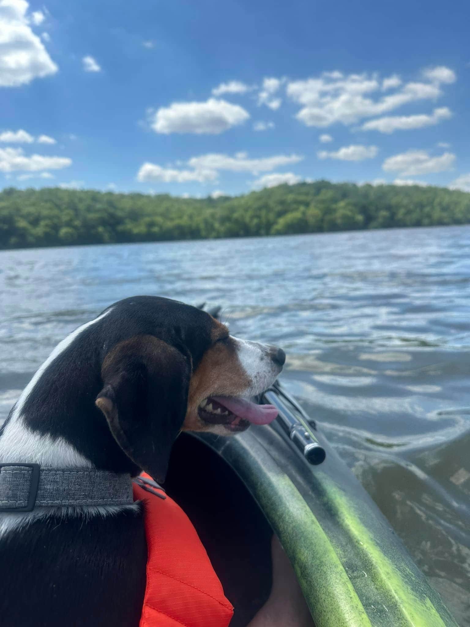Ryan K.'s photo of camping with pets at Yellowstone Lake State Park Campground near Oregon, WI
