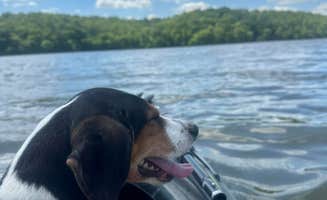 Ryan K.'s photo of camping with pets at Yellowstone Lake State Park Campground near Oregon, WI