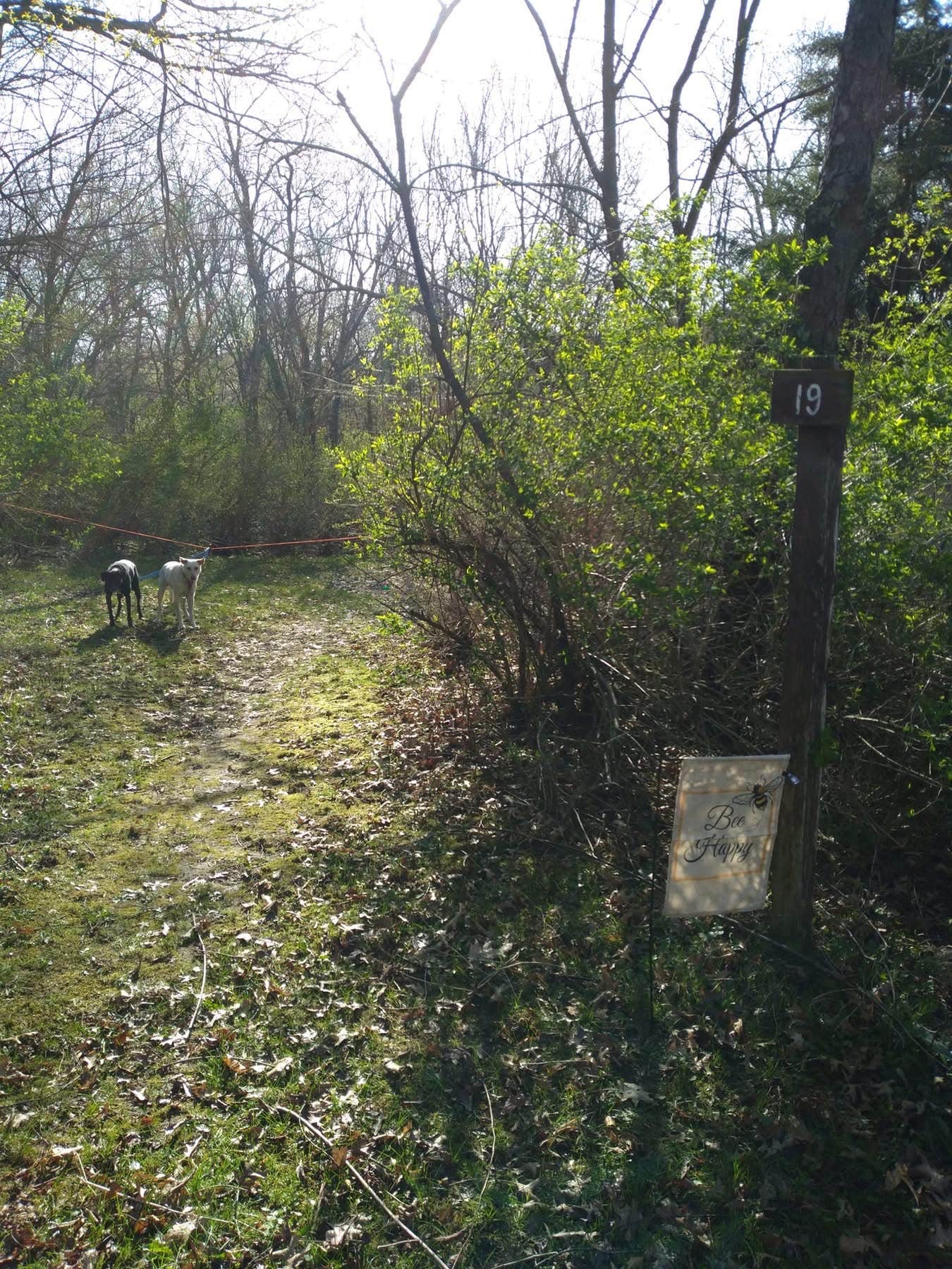Kay K.'s photo of camping with pets at Yellowstone Lake State Park Campground near Lena, IL