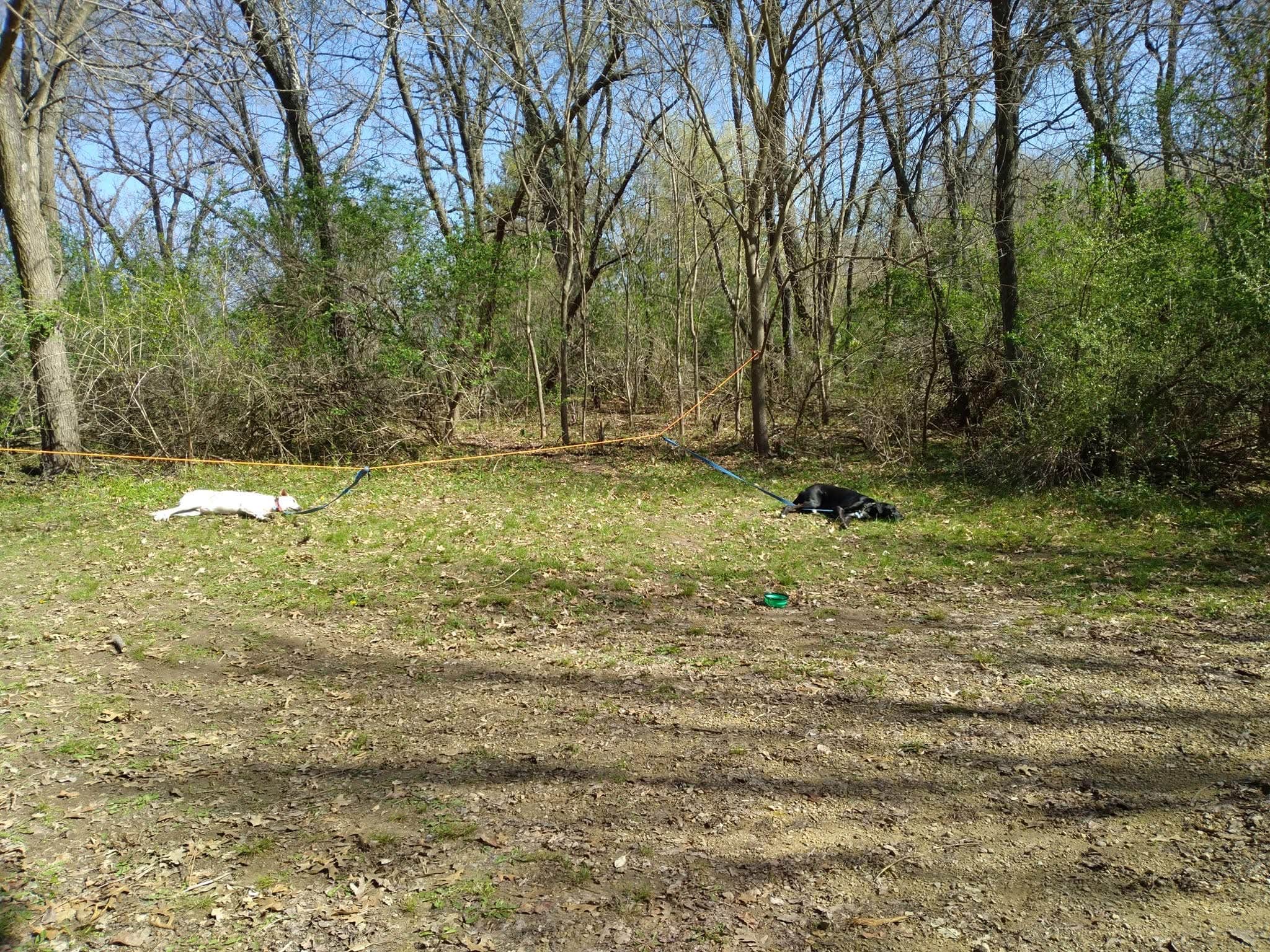 Kay K.'s photo of camping with pets at Yellowstone Lake State Park Campground near Verona, WI