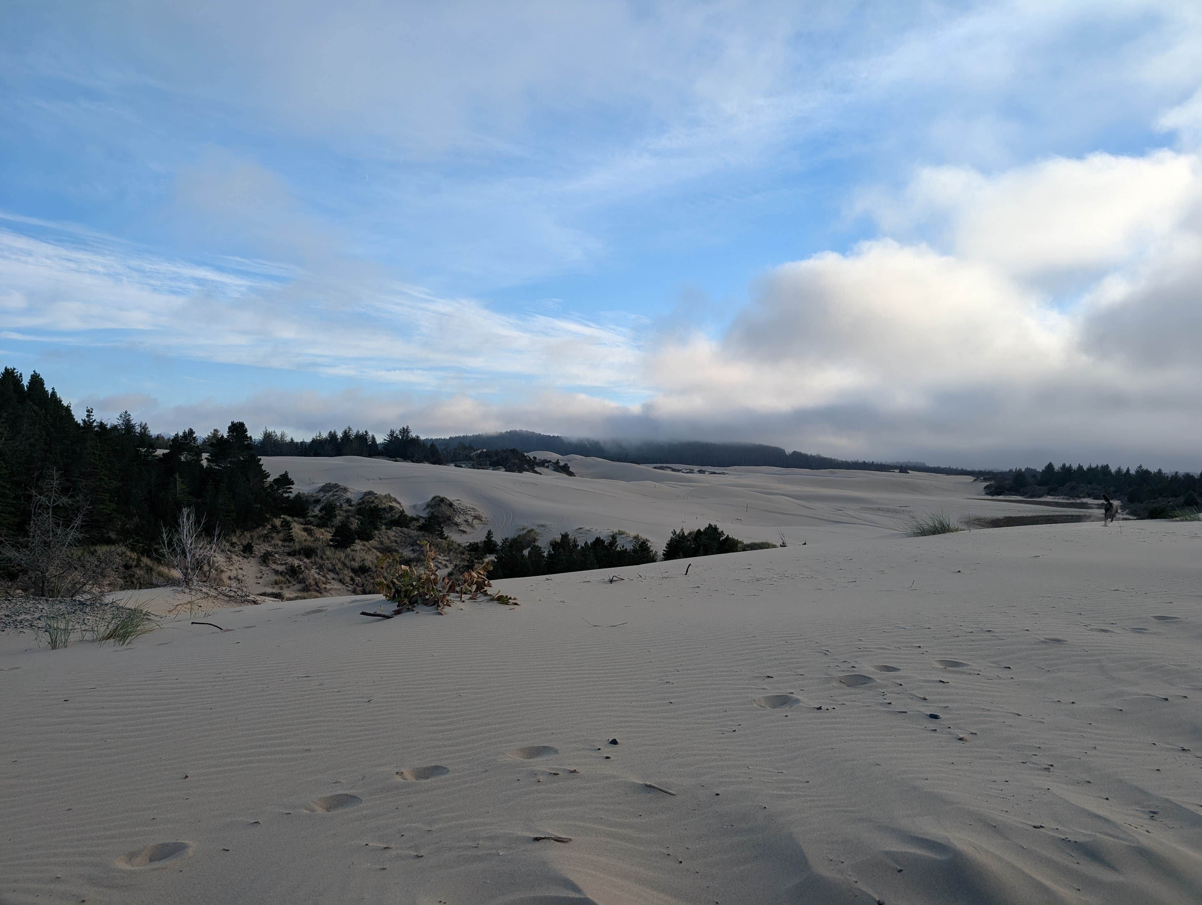 Camping near Darlings Marina and RV Resort: Woahink Lake RV Resort, Florence, Oregon