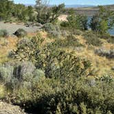 Review photo of Wolf Creek Reservoir by Bruce S., June 28, 2026